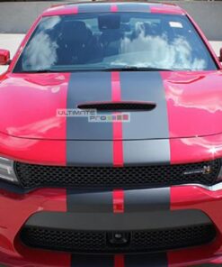 Decal Graphic Sticker Stripe Body Kit Dodge Charger